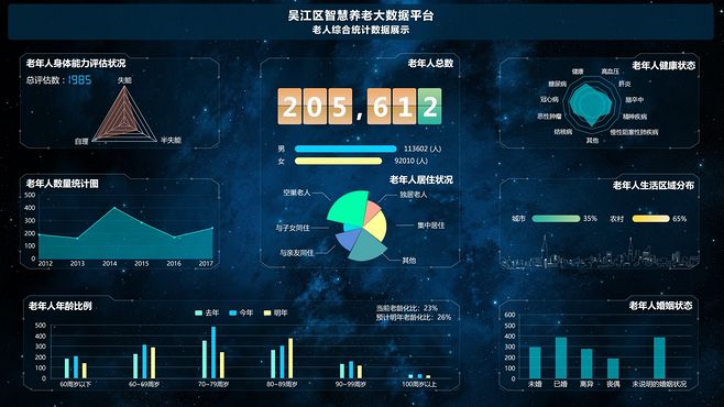 智慧养老大数据展示UI